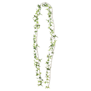 Ivy Garland_3199