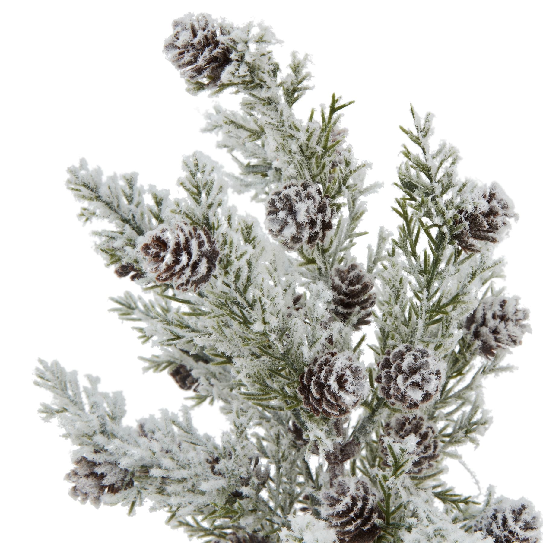 Small Snowy Fir Tree With Pinecones In Wood Log_3235