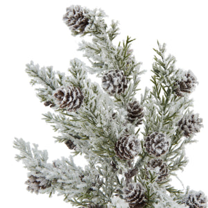 Small Snowy Fir Tree With Pinecones In Wood Log_3235