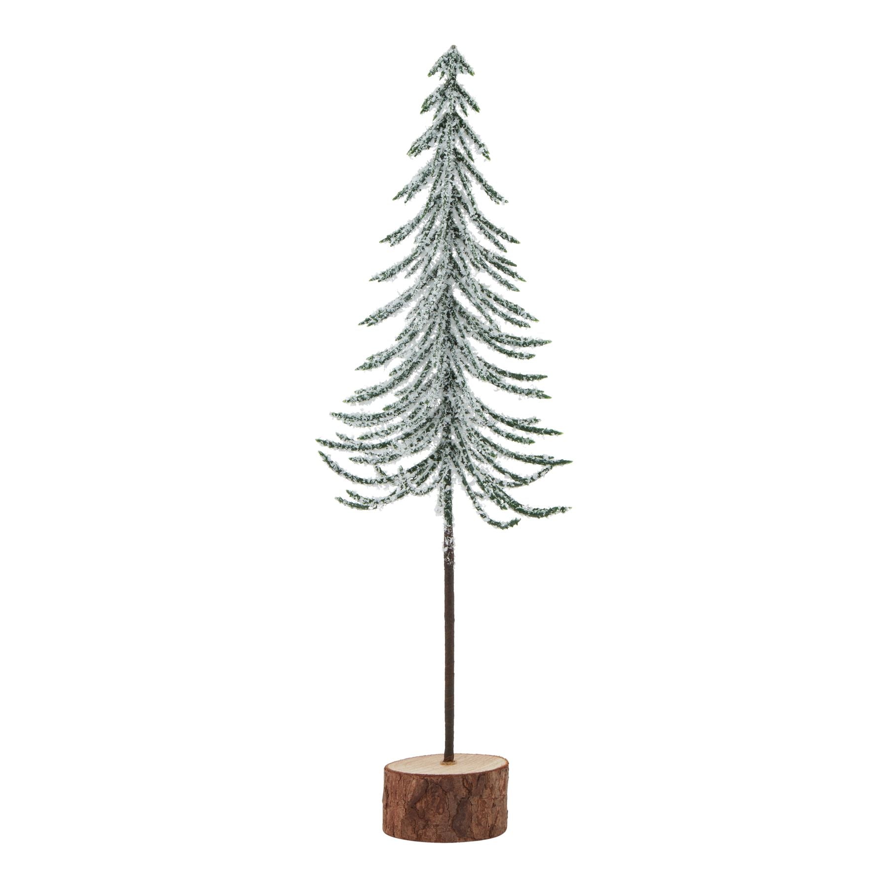 Snowy Spindle Tree In Wood Log_3237