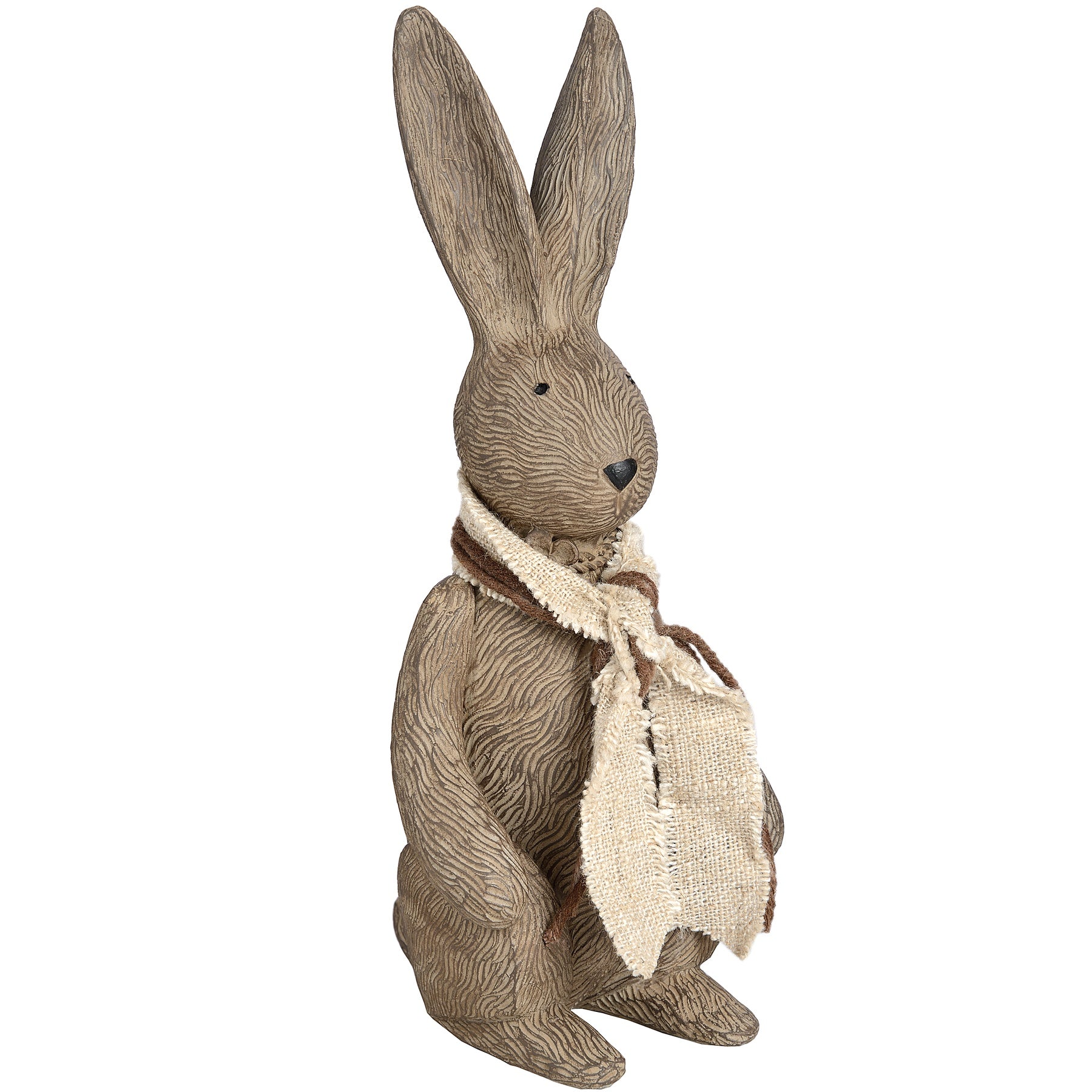 Winter Bunny Rabbit_3664