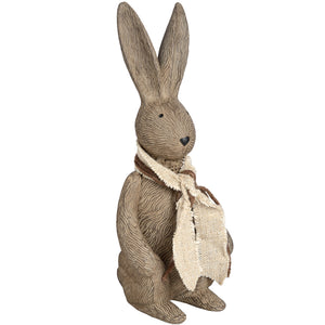 Winter Bunny Rabbit_3664