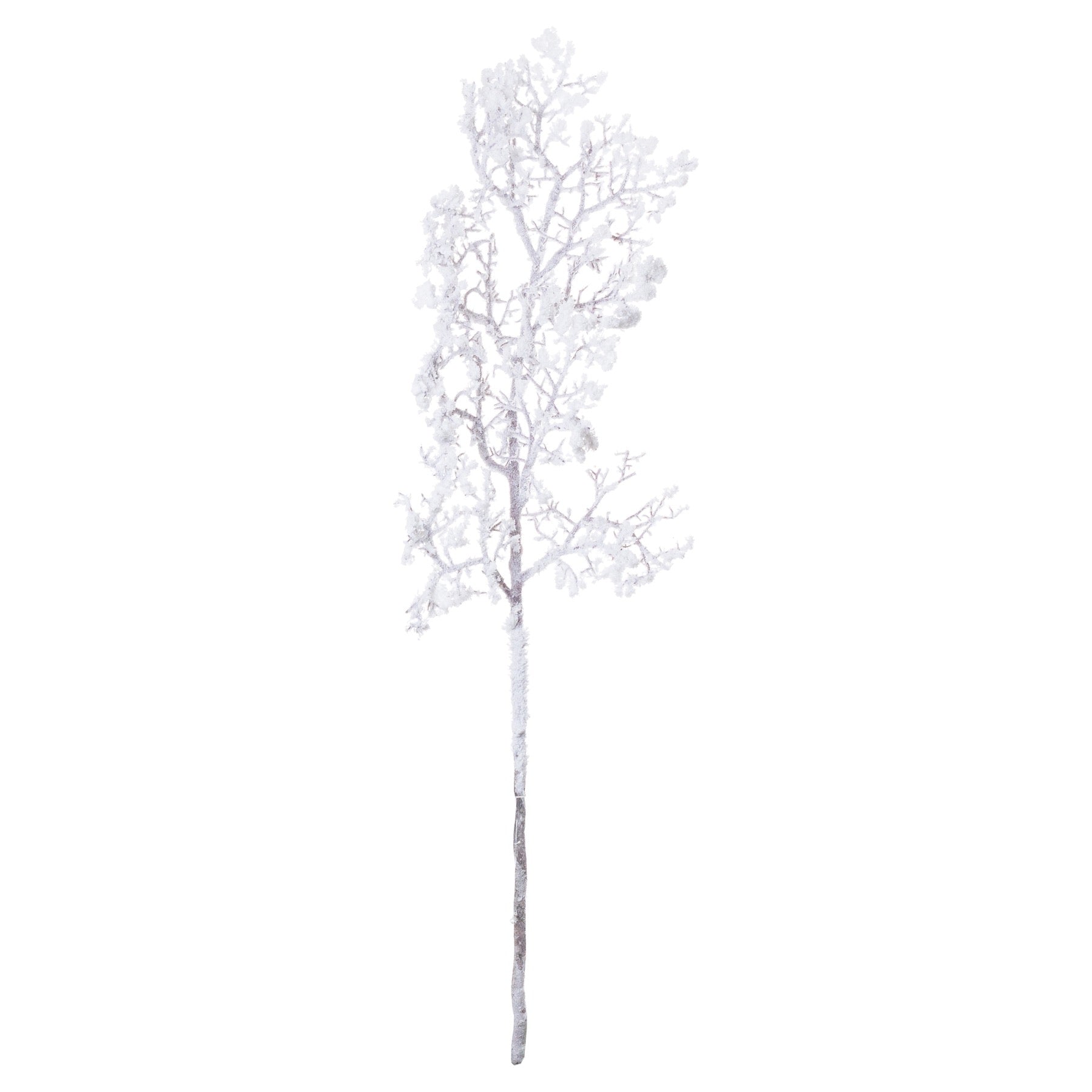 Snowy Branch_3295