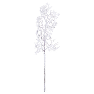 Snowy Branch_3295