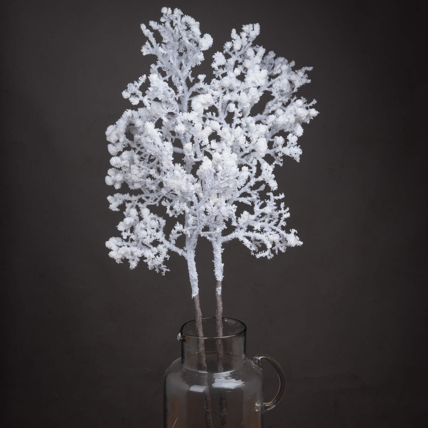 Snowy Branch_3293
