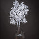 Snowy Branch_3293