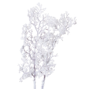 Snowy Branch_3294