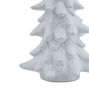 Snowy Fir Tree_2571