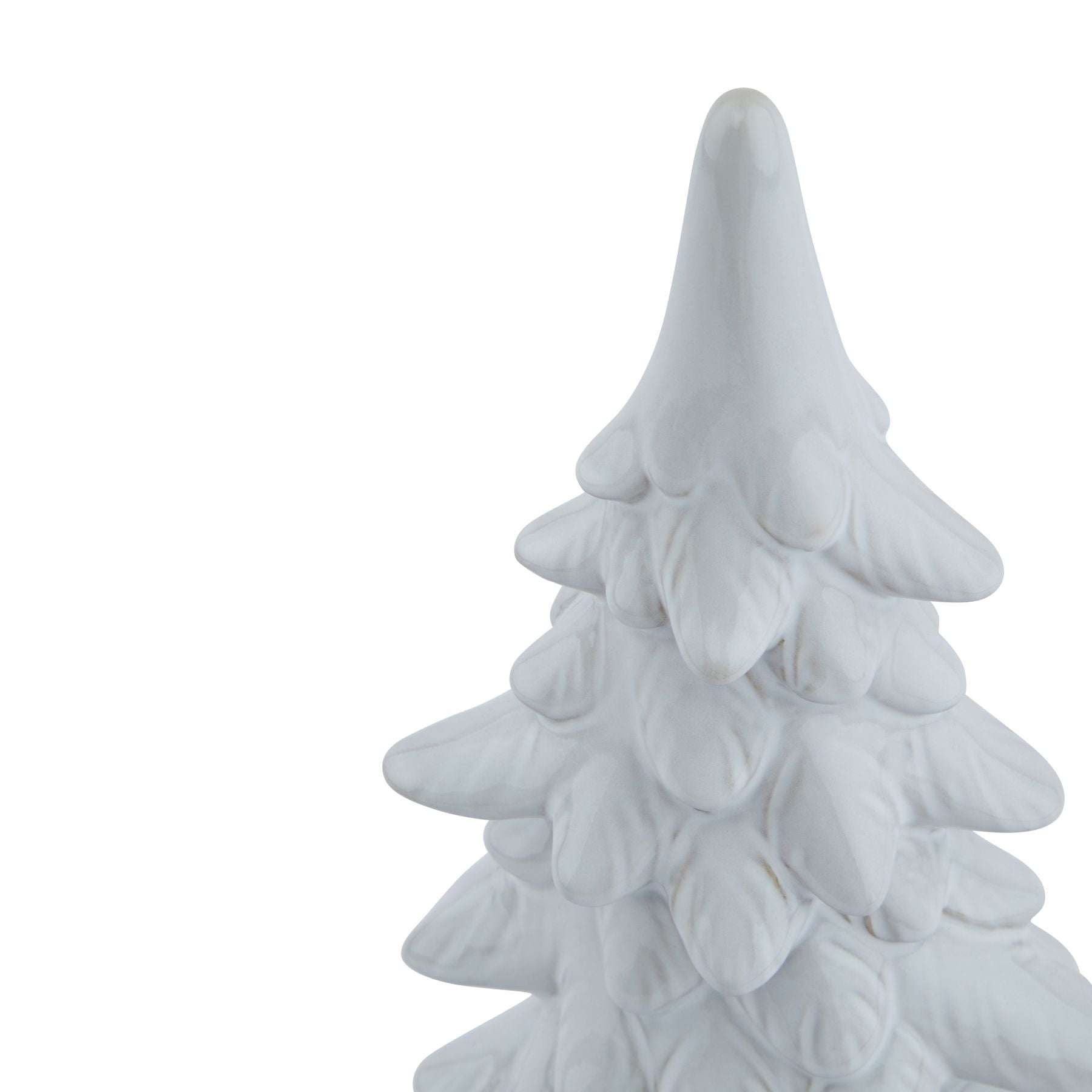 Snowy Fir Tree_2570