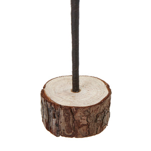 Snowy Spindle Tree In Wood Log_2577