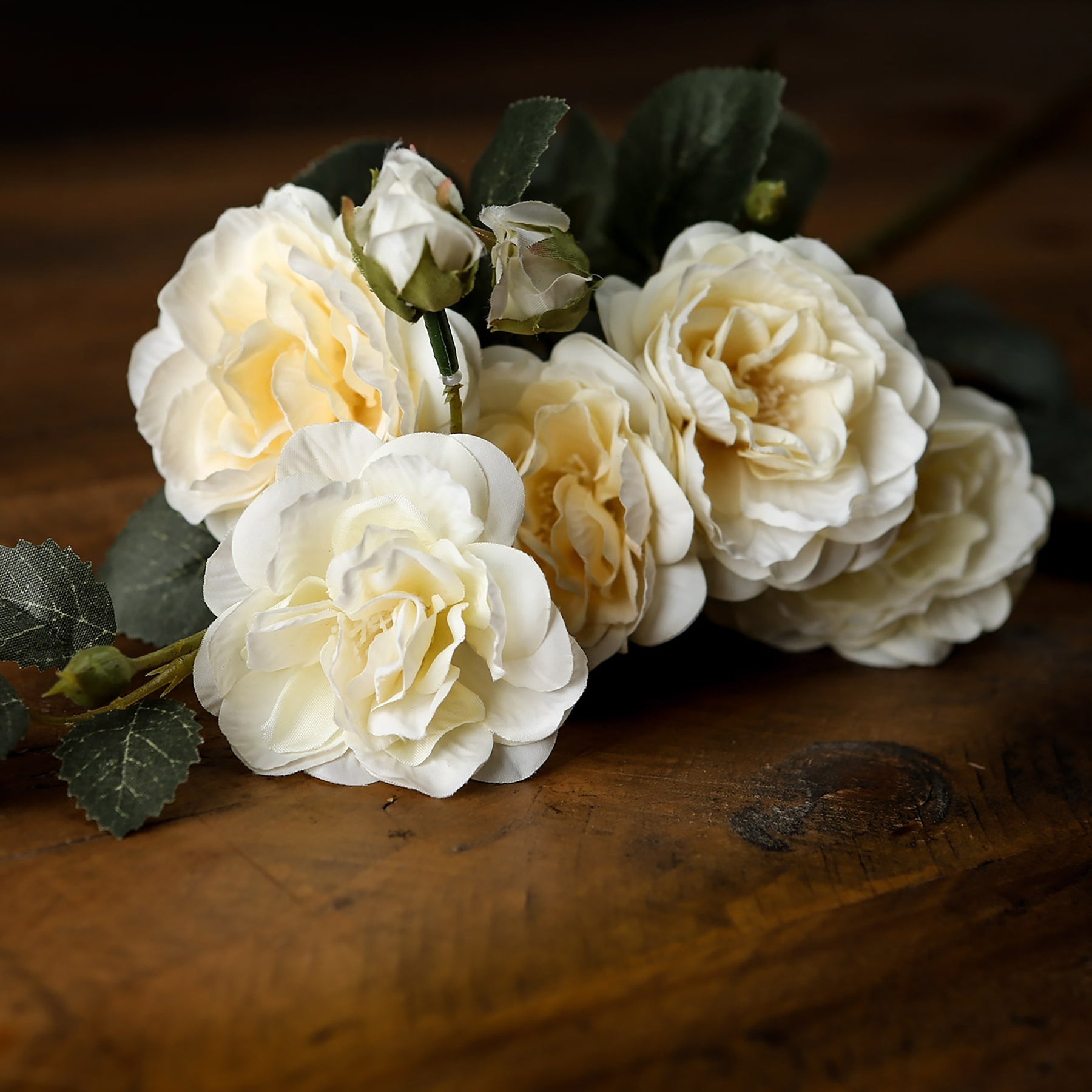 Soft White Cottage Rose Stem_5544