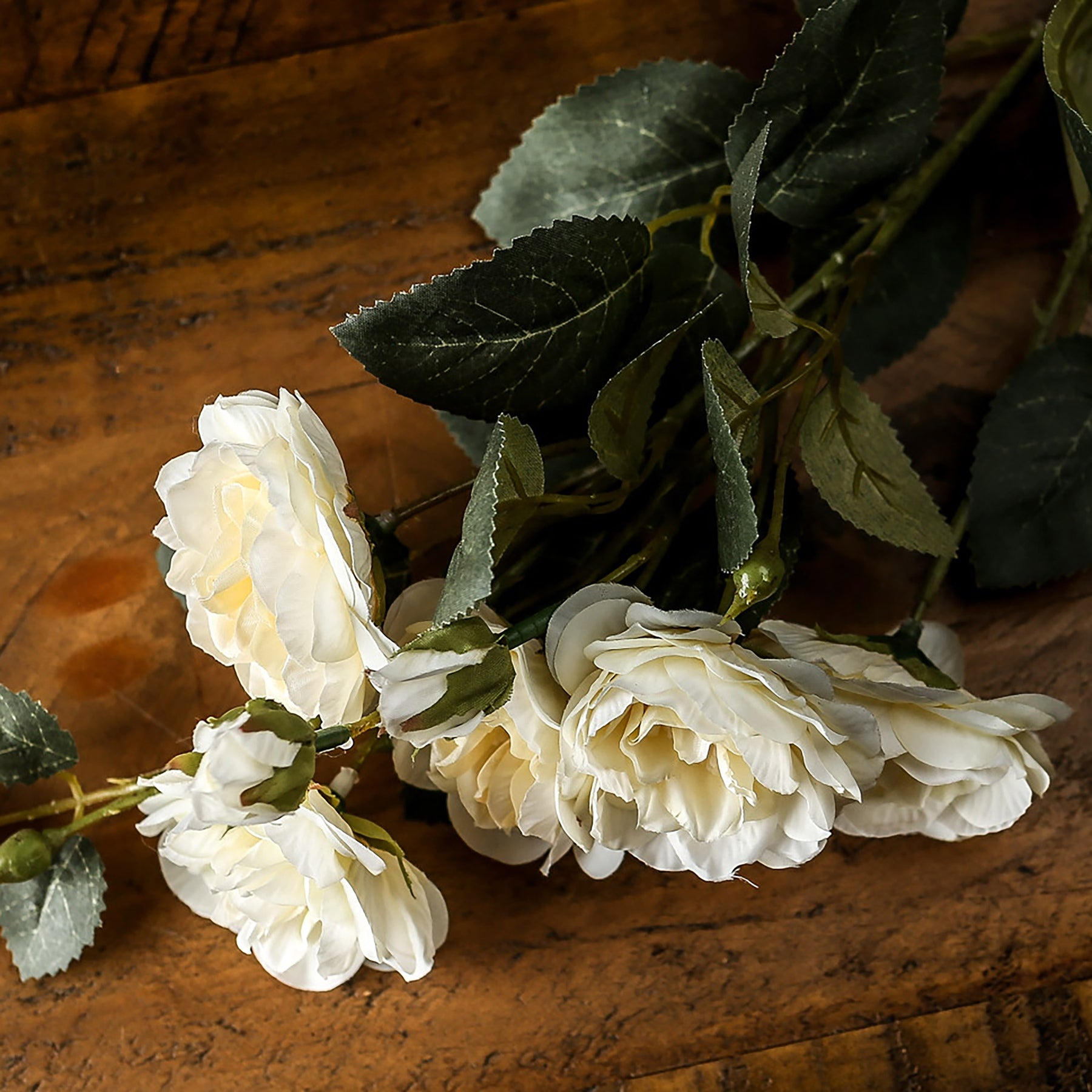 Soft White Cottage Rose Stem_5545
