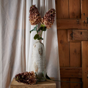 Burgundy Spear Hydrangea_4538