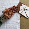 Burgundy Spear Hydrangea_4536