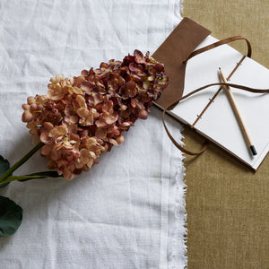 Burgundy Spear Hydrangea_4536