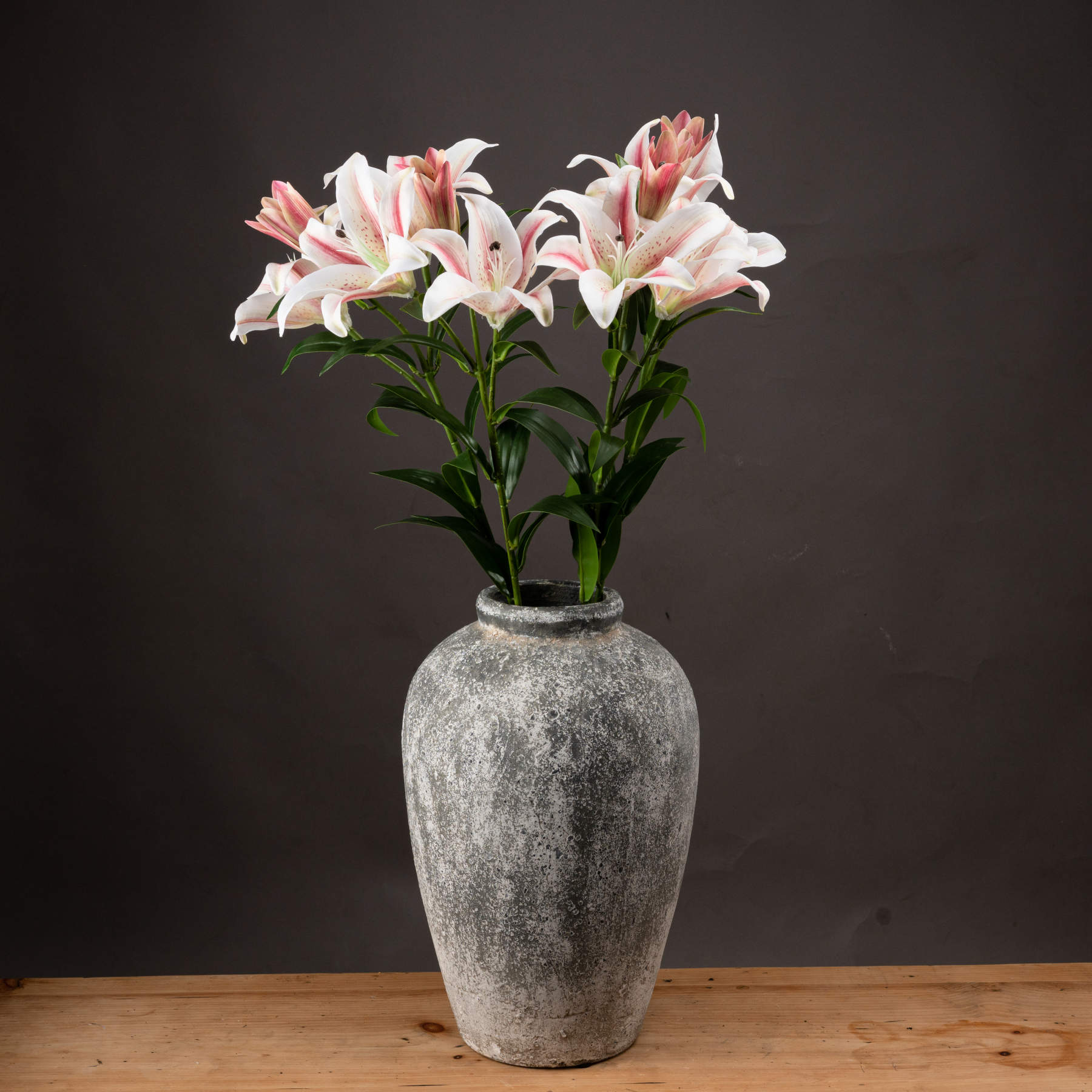 Stargazer Lily_5548