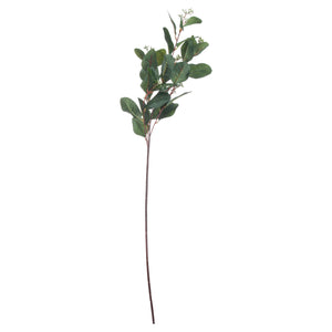 Summer Seeded Eucalyptus [cid:20547-c]