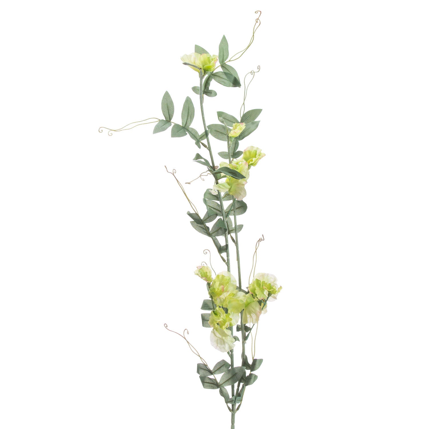 Sweet Pea Trail_5559