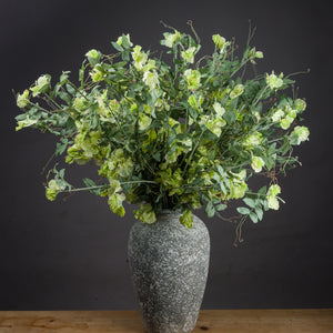 Sweet Pea Trail_5557