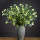 Sweet Pea Trail_5557