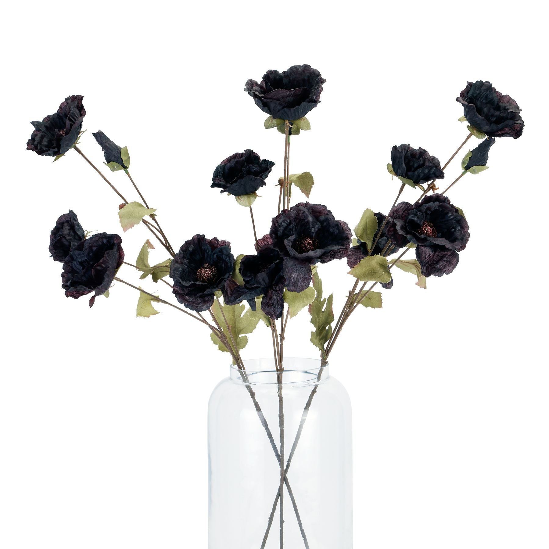Tall Black Poppy Stem_5565