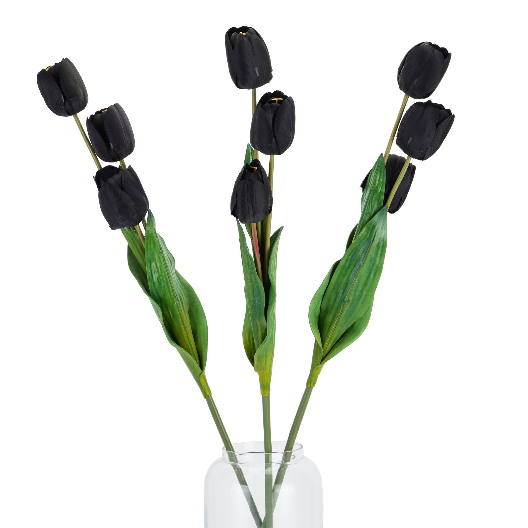 Tall Black Triple Tulip Stem_5569
