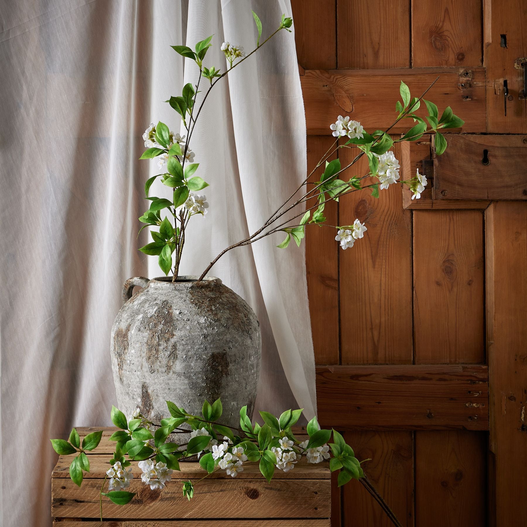Tall Mock Orange Spray_5582