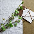 Tall Mock Orange Spray_5580