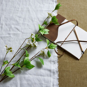 Tall Mock Orange Spray_5580