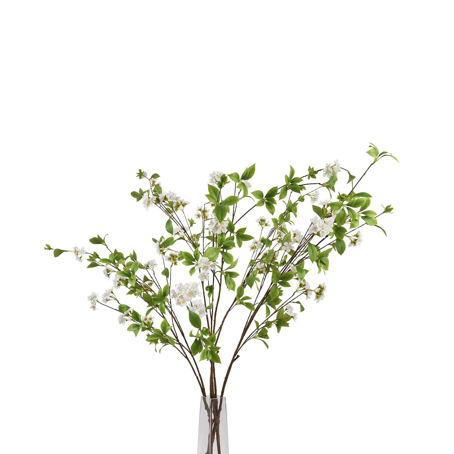 Tall Mock Orange Spray_5584