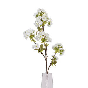Tall White Blossom_5589