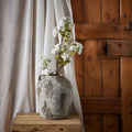 Tall White Blossom_5587