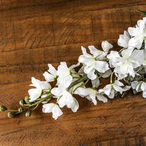 Tall White Delphinium Stem_5592