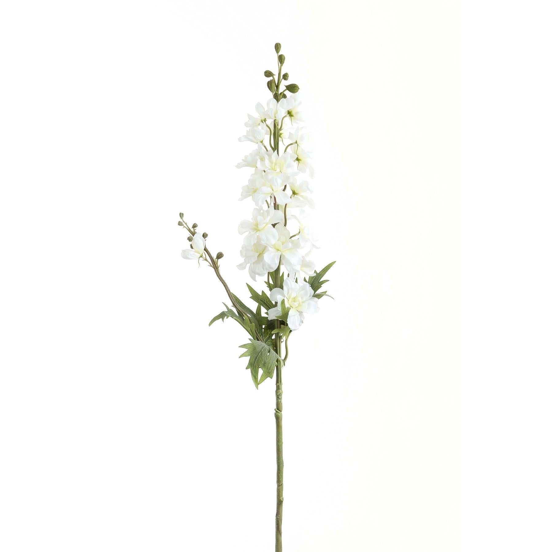 Tall White Delphinium Stem_5593