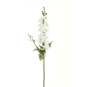 Tall White Delphinium Stem_5593