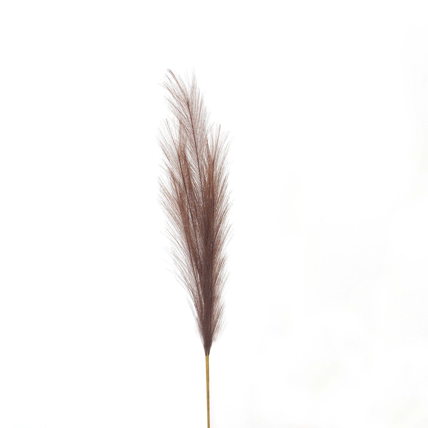 Taupe Faux Pampas Grass Stem_5602