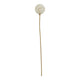 The Natural Garden Collection White Allium_5680
