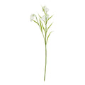 The Natural Garden Collection White Fritillaria Stem_5691