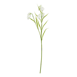 The Natural Garden Collection White Fritillaria Stem_5691