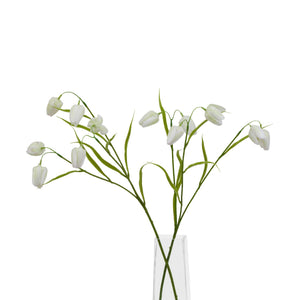 The Natural Garden Collection White Fritillaria Stem_5693