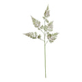 The Natural Garden Collection Large Bracken Fern Spray_5609