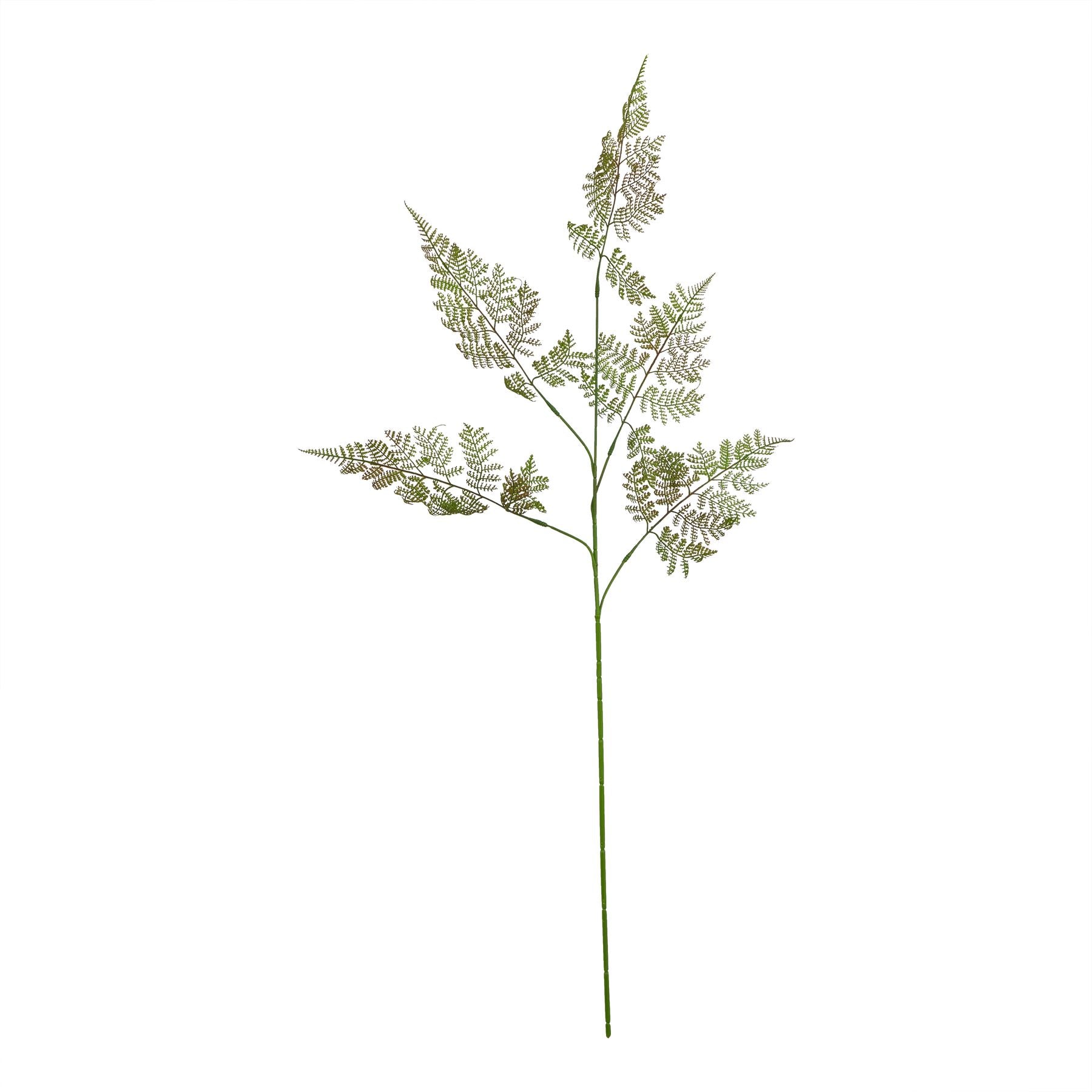 The Natural Garden Collection Large Bracken Fern Spray_5609