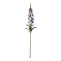 The Natural Garden Collection Mauve Foxglove_5614