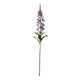 The Natural Garden Collection Mauve Foxglove_5614