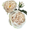 The Natural Garden Collection Palest Blush Charity Rose_5639