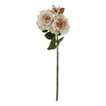 The Natural Garden Collection Palest Blush Tea Rose_5641