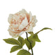 The Natural Garden Collection Blush Peony_5607
