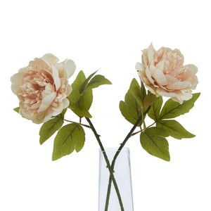 The Natural Garden Collection Blush Peony_5608