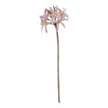 The Natural Garden Collection Pink Lily Stem_5650