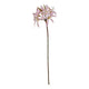 The Natural Garden Collection Pink Lily Stem_5650